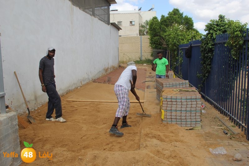 amal khayamaj3 (18).JPG